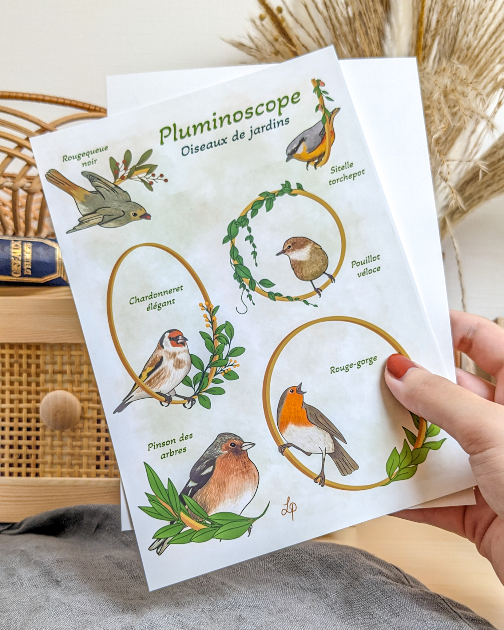 pluminoscope_oiseaux_jardin_A5